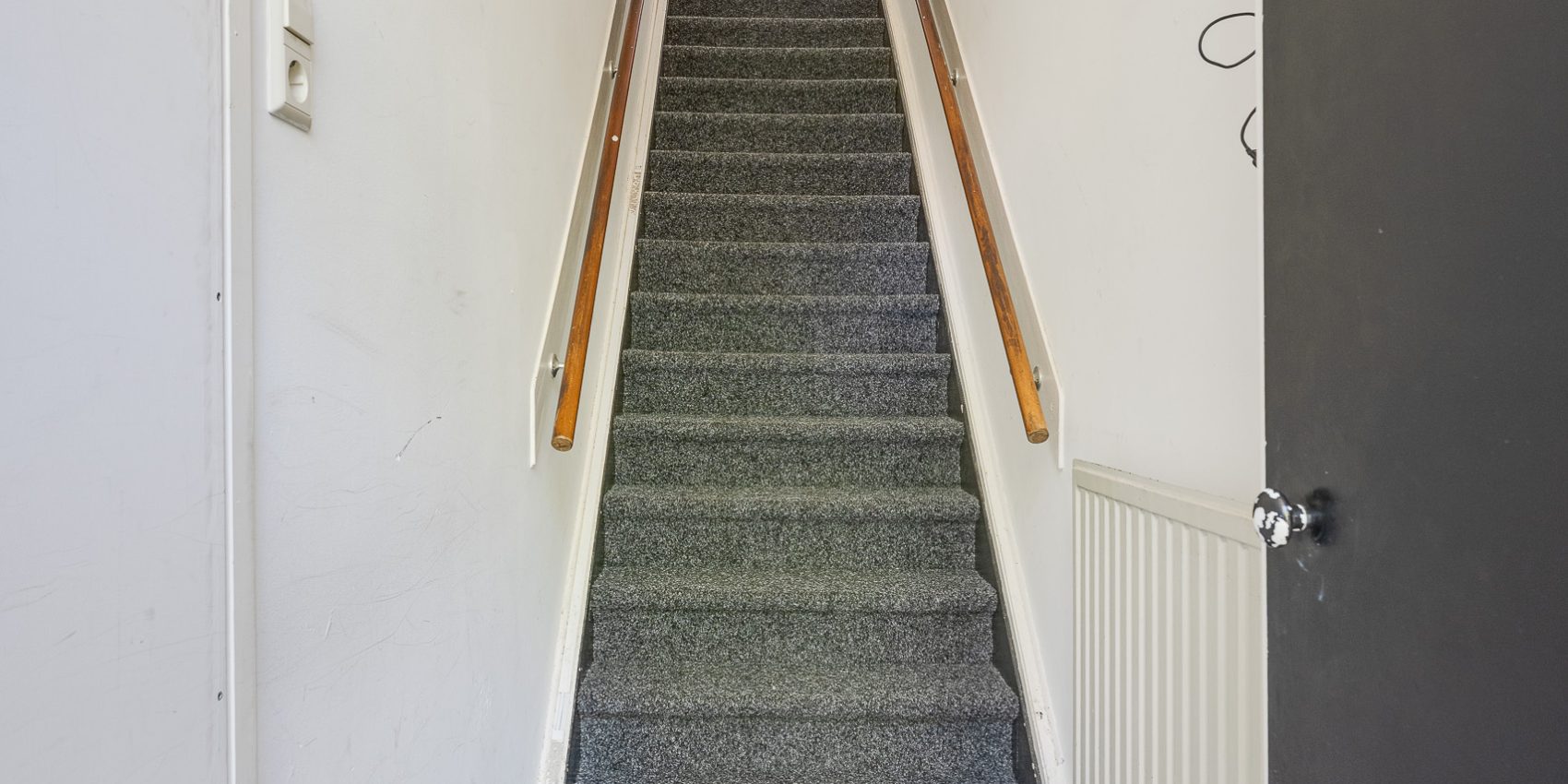 274206574.jpg