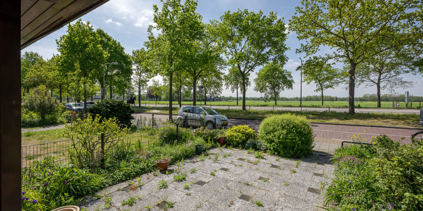 275090032.jpg