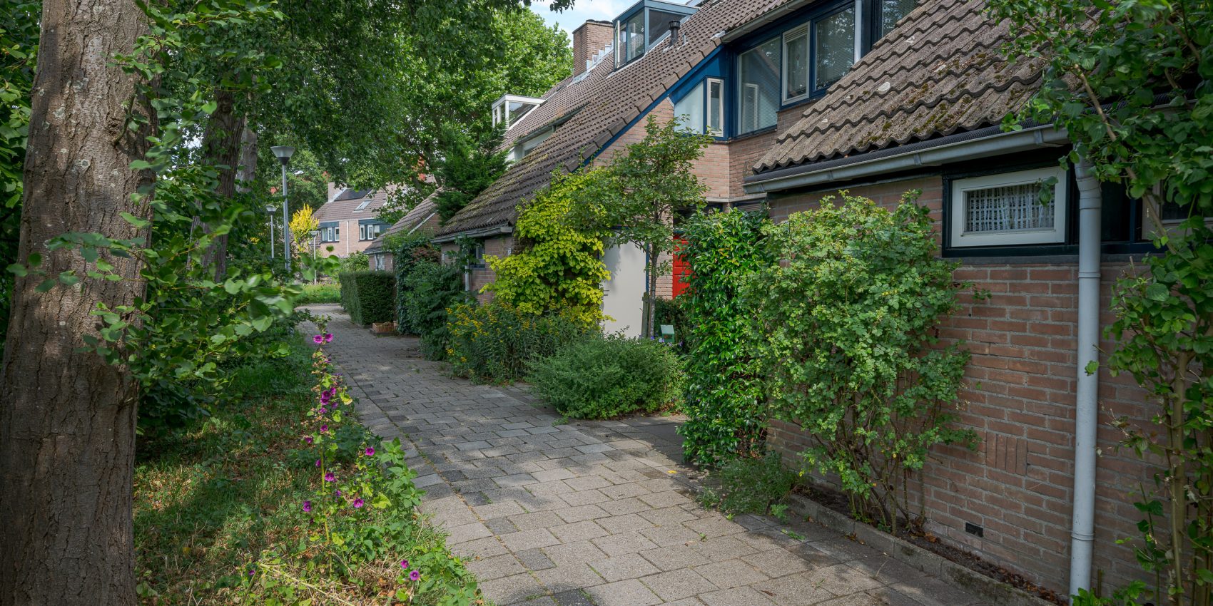 285995251.jpg