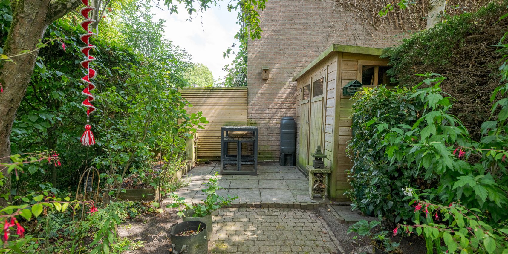 285995393.jpg
