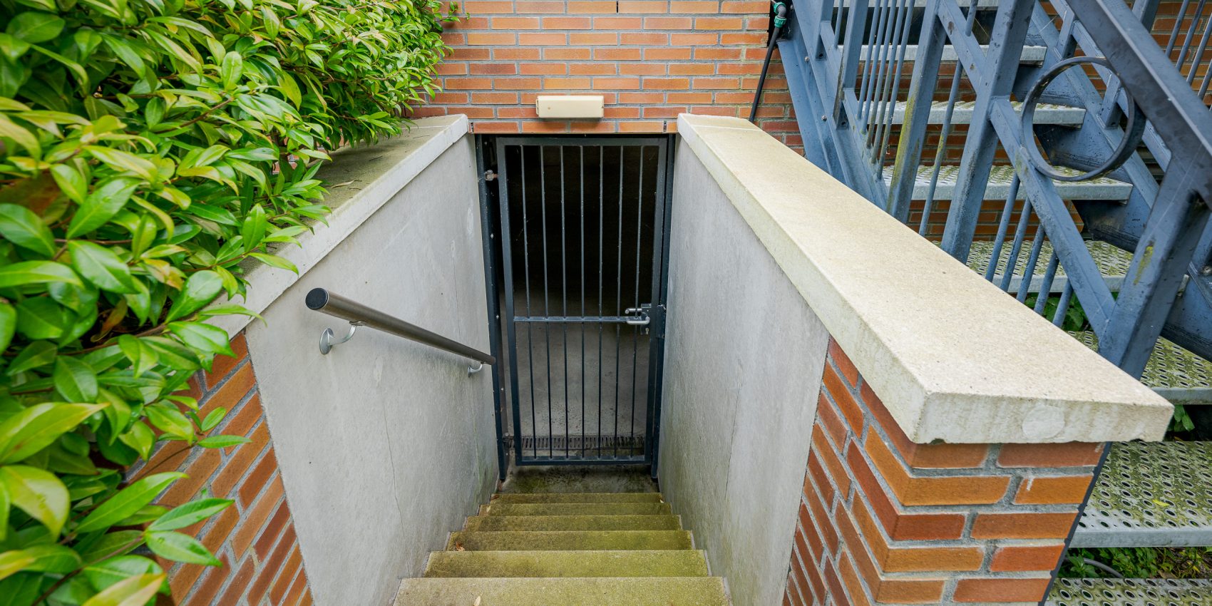 292691345.jpg